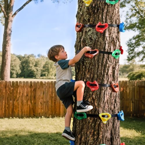 18PCS Tree Climbing Holds Kit with 6 Ratchet Straps for Kids & Adults