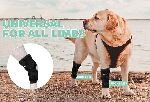 Dog Leg Brace for Rear Hock Joint - Right Size, Support & Recovery, M