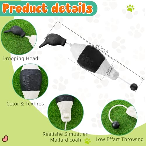 Dog Training Dummy Set with Canvas and Float Toys - Bright / Black & White Dove Variation