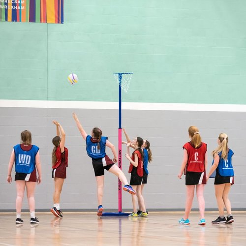 FORZA Netball Bibs [7 or 14 Pack] – Mesh Vests with Position Markings, Kids to Senior Sizes – Ideal for Teams & Schools (Blue & Red, Senior)