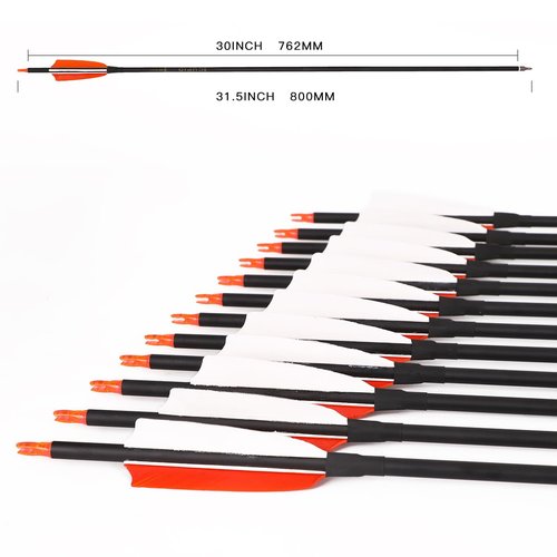 LWANO 30" Carbon Arrows-Archery Target Practice Hunting Arrows with 4" Turkey Feather Spine 500 for Recurve & Long Bow(Pack of 12)