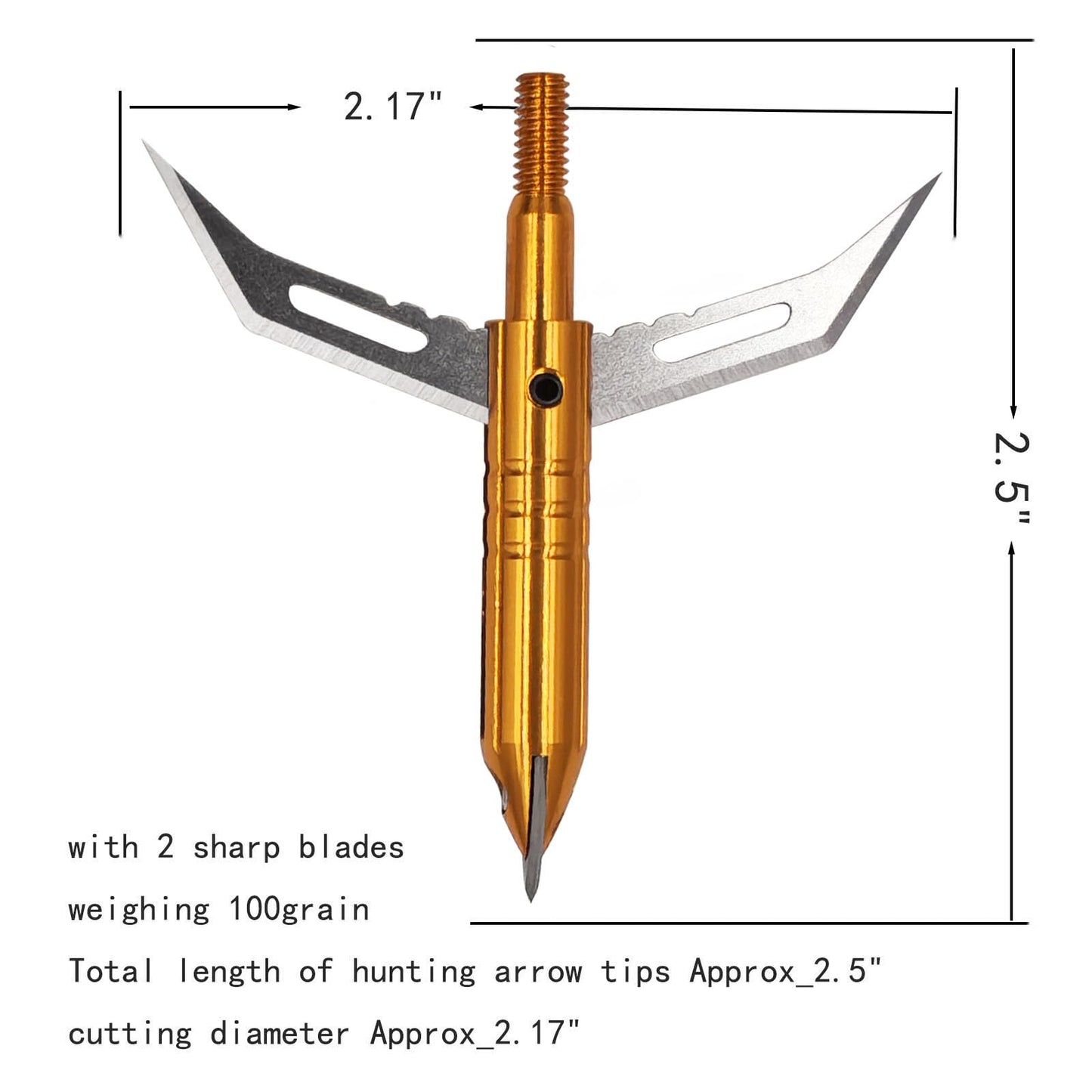 Flying Swifts Hunting Broadheads 12PK Cutting Blade Archery Broadhead 100Grain Screw-in Arrow Heads Arrow Tips Compatible with Traditional Bows and Compound Bow (Gold)