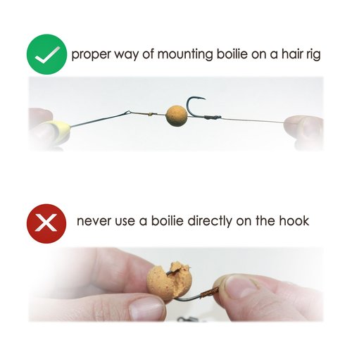 WCB Carp Baits High Protein Boilies 16 mm 1 lb Bag - Carp Fishing Bait - Ideal for Carp Fishing (Flavor: Sweet Corn)