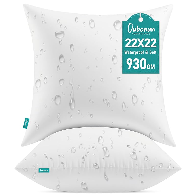 Oubonun 22x22 Outdoor Throw Pillow Inserts - Set of 2 Waterproof Cushions, 22x22 Inch Variation