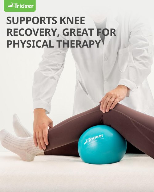 Trideer Pilates Ball 9 Inch with Pump, Exercise Balls Physical Therapy, Physical Therapy Equipment, Small Exercise Ball Between Knees, Small Pilates Ball for Yoga, Core, Office&Home Gym