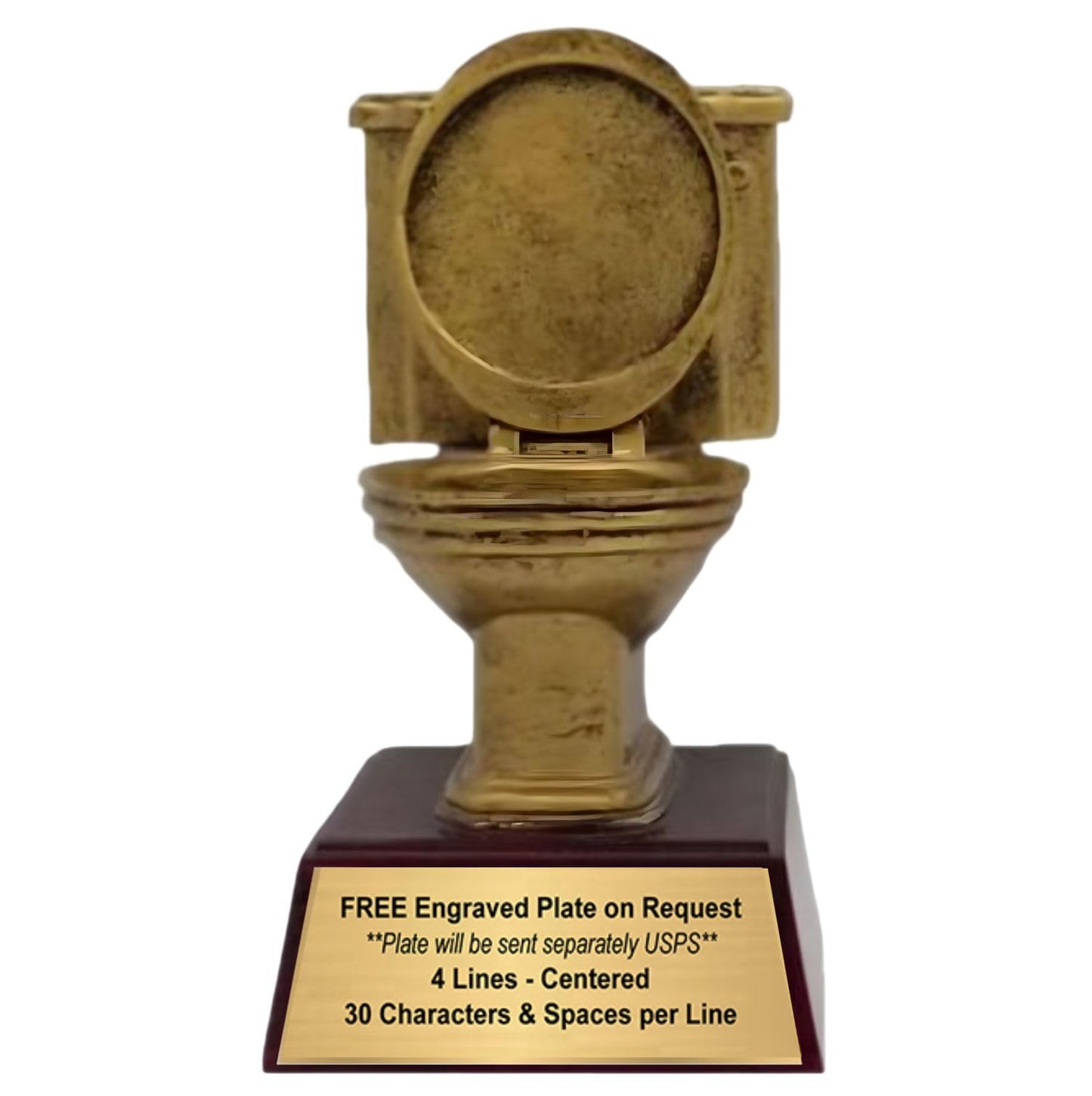 Decade Awards Gold Toilet Bowl Trophy - Custom Engraved Golden Throne Award - Flushed Prize - Engraved Plate Upon Request (Blank-6 Inch)