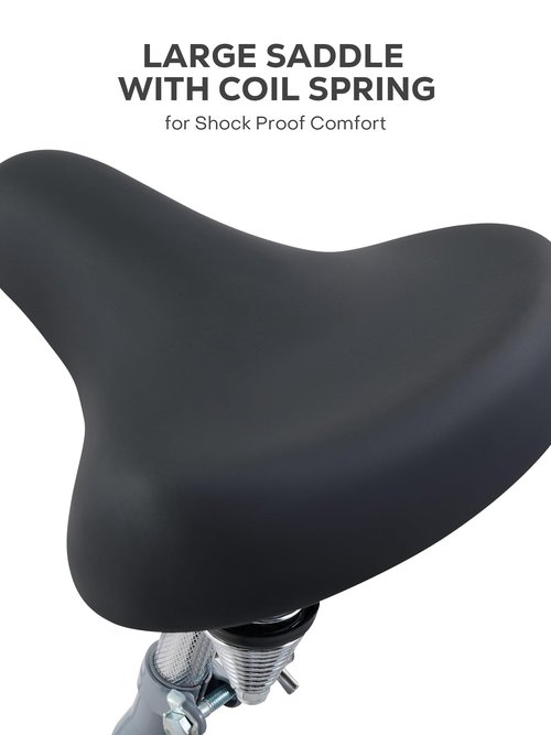 Viribus Womens Adult Tricycle FTB