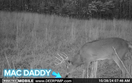 DEER PIMP MAC Daddy Trifecta Real Deer Urine Diffuser with (3) Urine Cartridges: ESTRUS, Dominant Buck, and Regular Doe, 100 Hr Run Time Internal Rechargeable Battery, 210+ Hours of Hunting Time