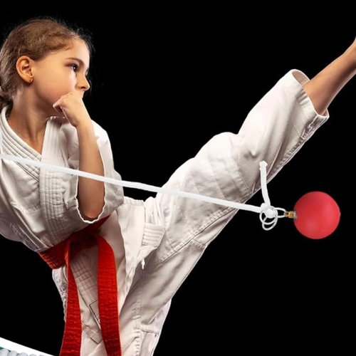 Libaroud Rope Hammer Rubber Throw Practice with Rope Dart Chinese Traditional Kung Fu Soft Fitness Equipment for Workout Muscles
