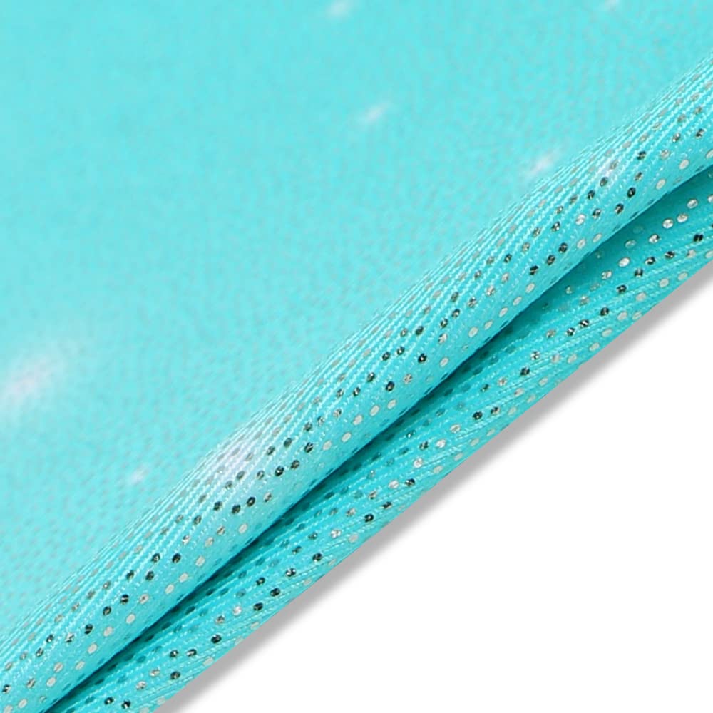 HOZIY Big Kid, Girls Gymnastics Leotards With Shorts for Kids Tumbling Outfits Dance 4t 5t 4-5t 4 Year Yr Old Aqua Blue Mesh Snowflake Biketards