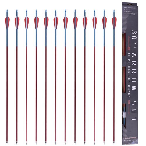 MOYJ Mixed Carbon Arrow Archery Practice Shooting 3 inch Plastic Vanes Fletching Removable Replaceable Broadhead Tips Arrows12pcs Hunting Arrows I.D.6.2MM O.D.7.8mm Arrows for Bow