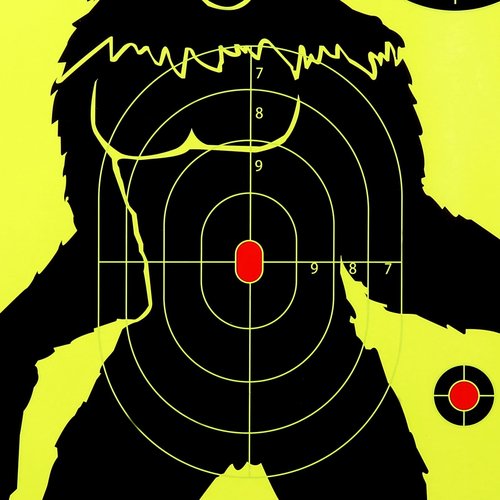 Shooting Targets, Pack 12X17.5 inch Paper Targets for Shooting Range, Suitable for Hunting (25 Pack)