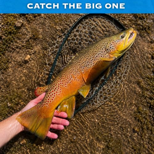 Assorted Zebra Midge Flies for Fly Fishing - Hook Size 18-22, 12 Pack