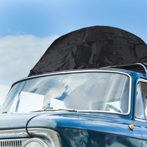 Beatifufu Car Roof Top Rack Rain Cover Cargo Protector Portable Fits 230x145cm
