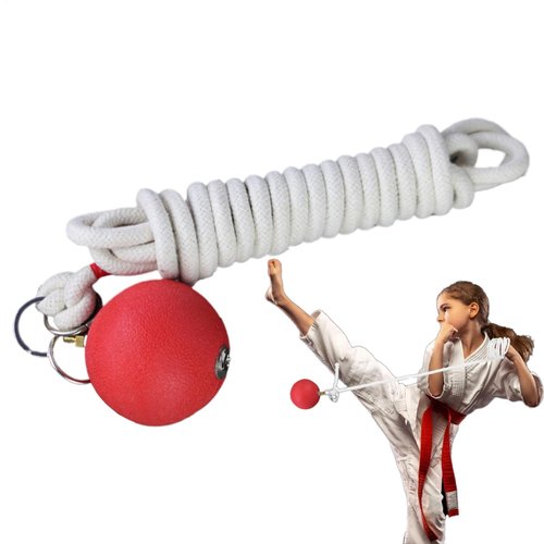 Rope Dart Trainer Rope Dart Meteors Hammer Rubber Throw Practice Rubber Weight Throw Exercise Ball Martial Arts Fitness Equipment for Chinese Traditional Kung Fu