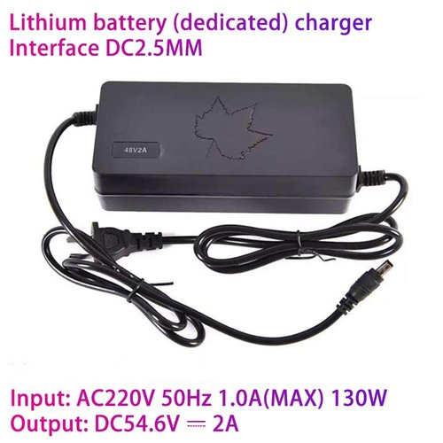 SDTYYP Ebike Battery 48V 10.4Ah/12.8Ah/14Ah Folding Built-in Electric Bicycle Lithium Battery for 1200W 1000W 800W 750W 500W 350W Bike Motor with Charger and BMS (48V 10.4Ah)