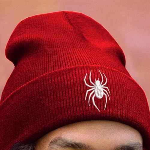 Cool Spider Web Pattern Halloween Beanie, Embroidered araneid Wool Knit Beanies Hats Gift for Men Women