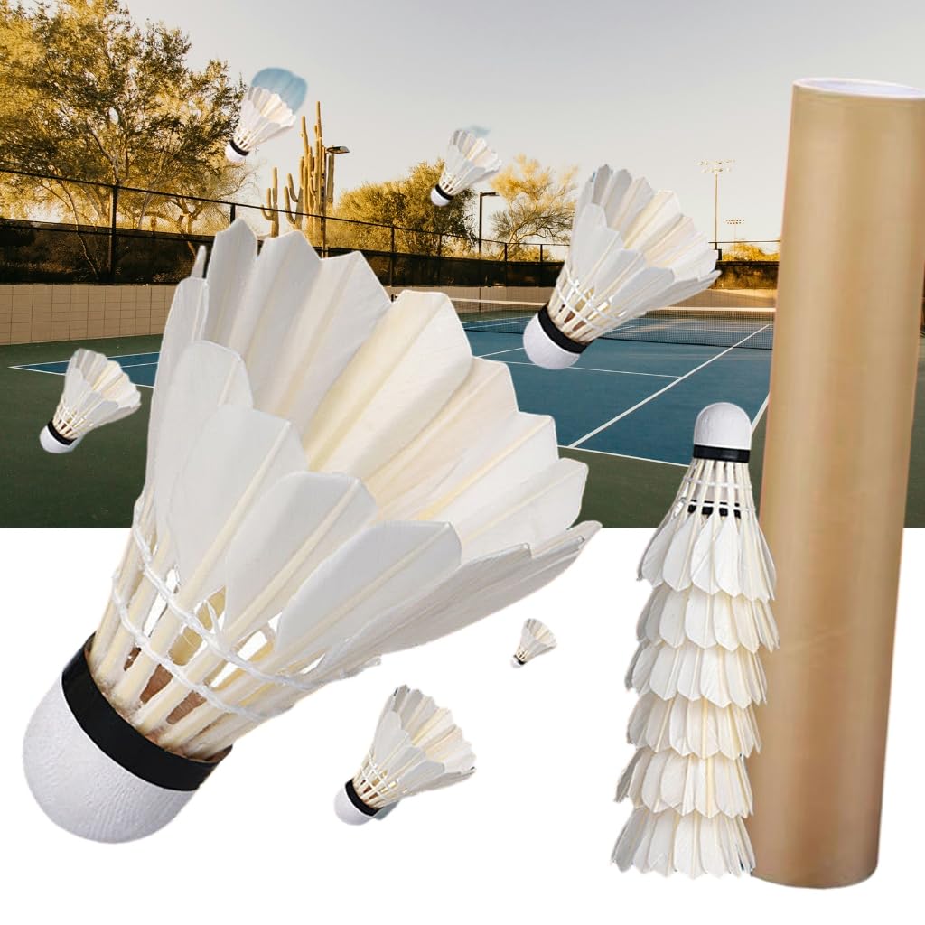 12 Pcs Shuttlecocks, Professional Badminton Shuttlecock Lightweight Training Sport Badminton Balls High Speed Badminton Birdies