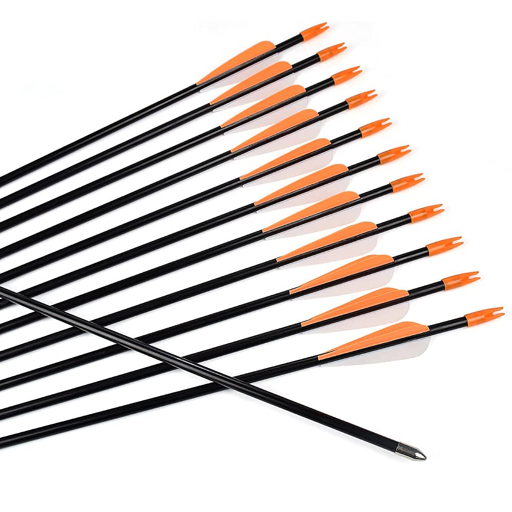 Fiberglass Practice Arrows Archery 30 Inch Target Shooting Safetyglass Recurve Bows Suitable for Youth Woman Beginner 6PCS