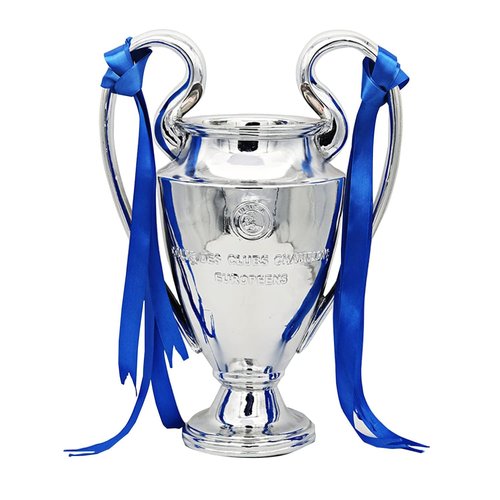 Yiwoop 6in 2024 Champions Trophy Soccer Trophy Awards Cup Football Cup Fans Souvenir（No Engraving Champion Team Name）