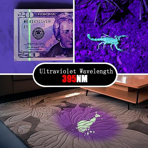 UV Blacklight Flashlight Set - 2 Pack, Black & Gold, 395nm Detection Pen