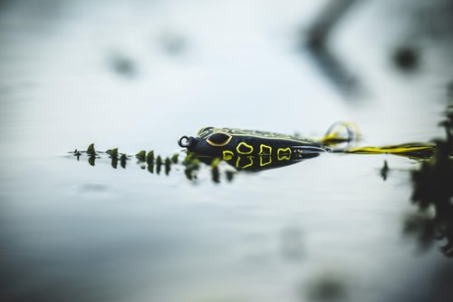 Berkley Swamp Lord Hollow Body Frog Fishing Bait