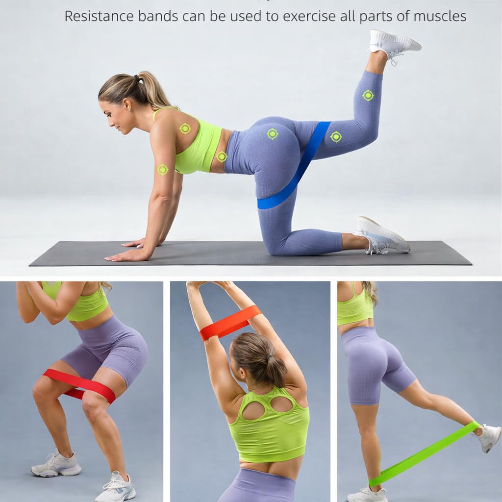 New Horrizon Resistance Bands for Working Out Set of 5 with Carry Bag, Resistance Loop Exercise Bands for Strength Training, Physical Therapy & Pilates, Home Gym Workout Equipment for Men & Women