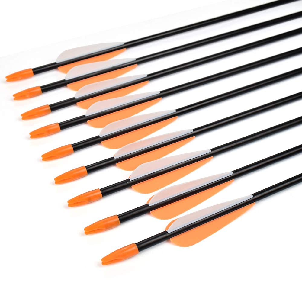 Fiberglass Practice Arrows Archery 30 Inch Target Shooting Safetyglass Recurve Bows Suitable for Youth Woman Beginner 6PCS