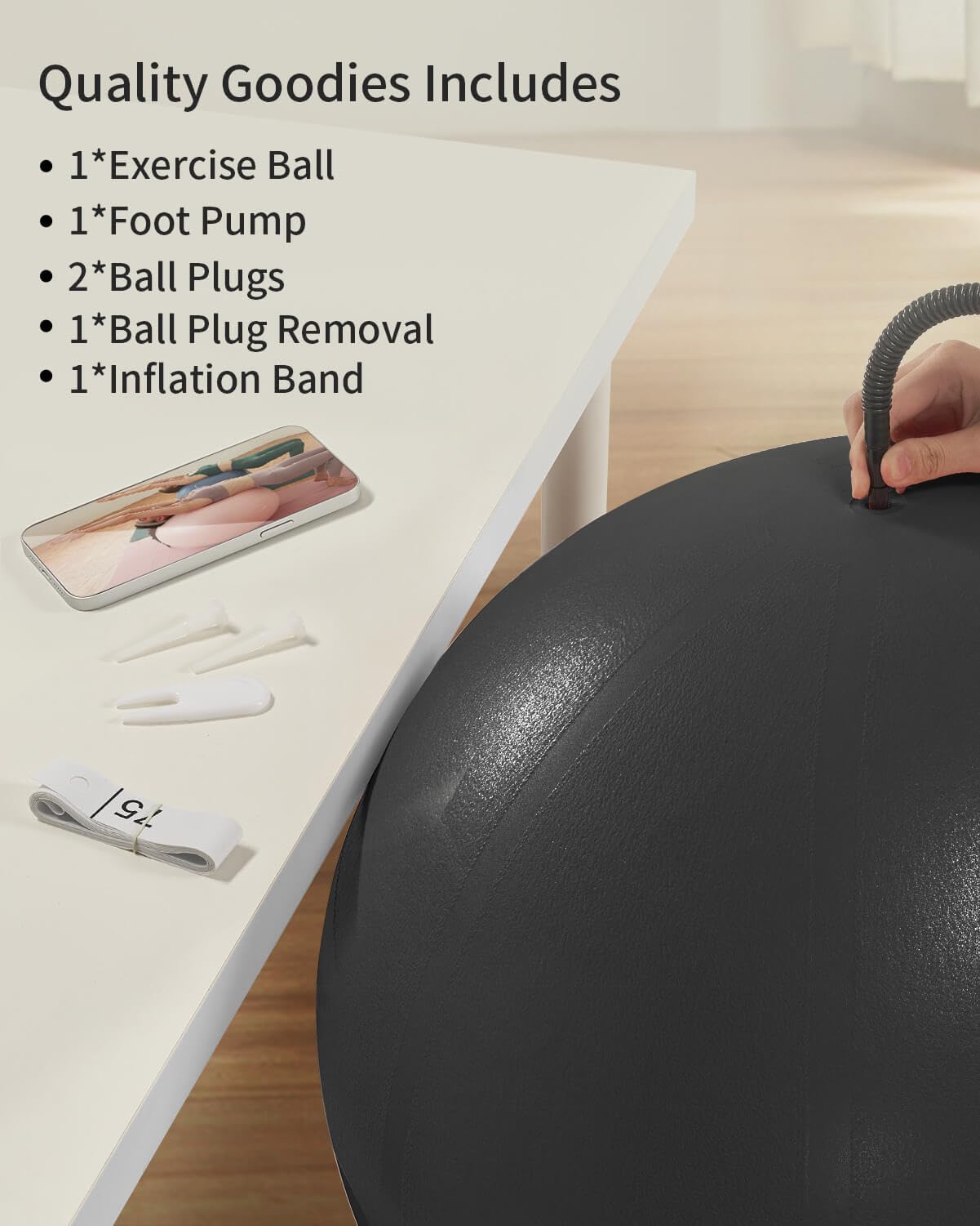 YOTTOY Anti-Burst Exercise Ball for Working Out, Yoga Ball for Pregnancy,Extra Thick Workout Ball for Physical Therapy,Fitness with Pump (Dark)