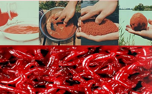 Wintgrea Fish Attractant Red Worm Liquid Fish Trap Bait, Fish Trap Liquid Bait，2 x 100ml, Ideal for Bass, Trout and Catfish, Ideal for Adding to Bait