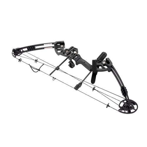 Portable Bow Hunting Kit, 30-55lbs Compound Bow+Arrows Kit Archery Set Adjustable Archery Set Come with All The Accessories (Style 2)