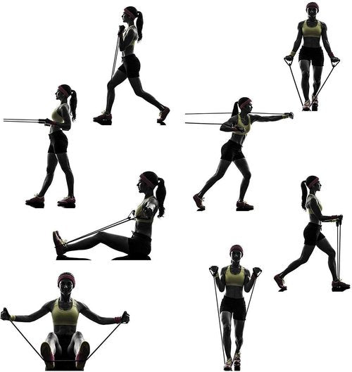 Double Spring Tummy Trimmer Men and Women for Abs Workout Stomach Exercise Machine for Women and Men Exercise in Gym, Home for Abdominal, Belly Exercise Waist Trimmer, Black