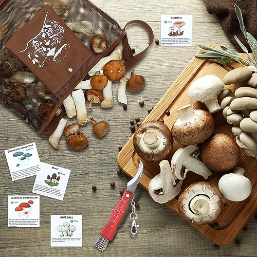 Seajan Christmas Mushroom Foraging Kit - Brown 18-Piece Set with Knife & Guide Cards