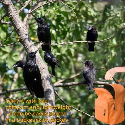 Imitating Crow Sounds - Realistic Bird Sounds and Lures to Attract Crows | Portable Hunting Baits for Beginners/Professionals，Bird Attraction Tool(1 Pcs)