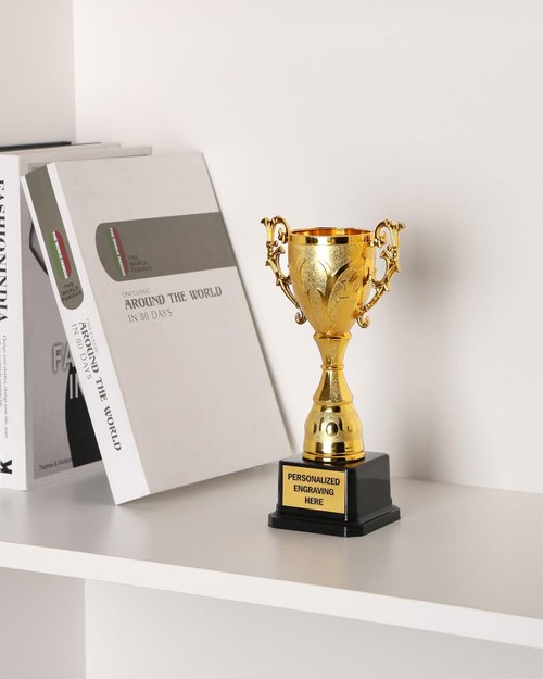 ZALHIN Gold Cup Trophy Award with Custom Engraving, 8.9" Personalized Custom Engraved for Employee Recognition, Sports Trophies, Thanks Gifts (Morning Glory)