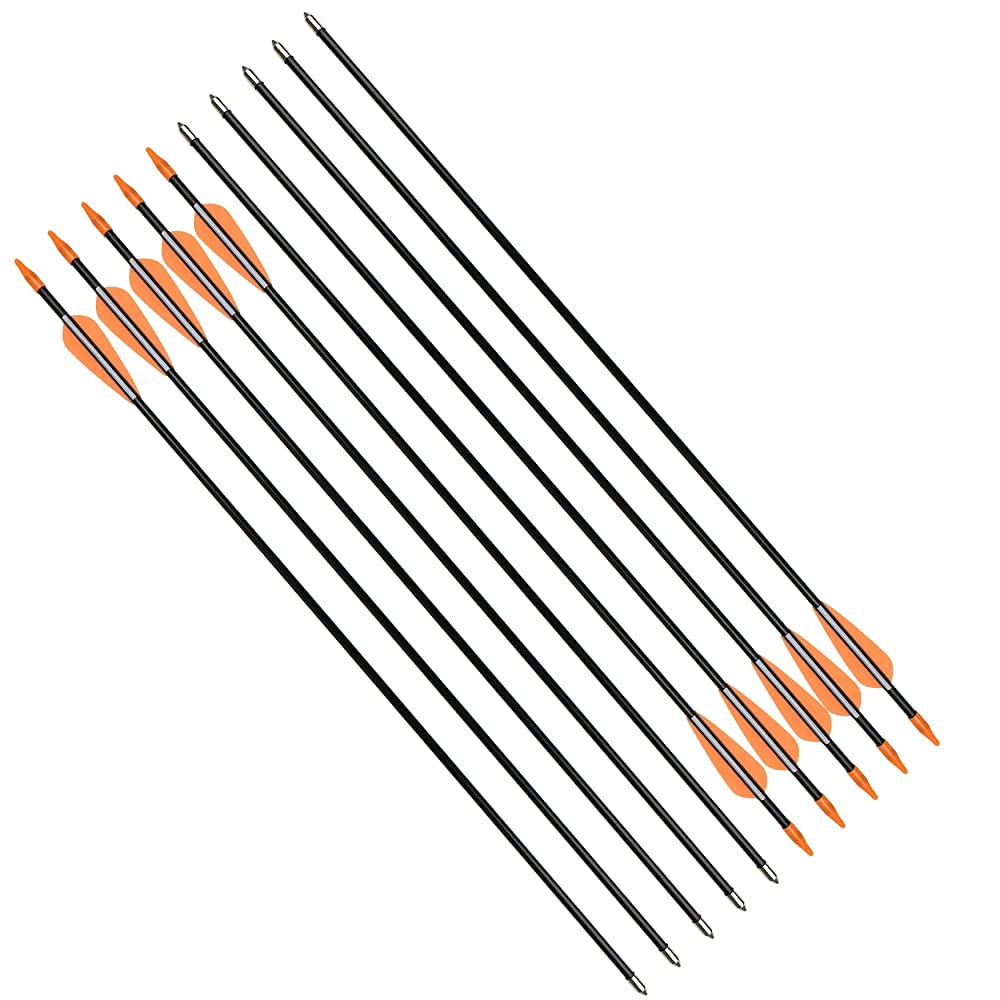 Fiberglass Practice Arrows Archery 30 Inch Target Shooting Safetyglass Recurve Bows Suitable for Youth Woman Beginner 6PCS
