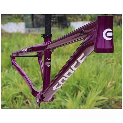 QHIYRZE Mountain Bike Frame 26er Dirt Jump Bike Frame XC/AM Aluminum Alloy Hardtail Frame 12x148mm Thru Axle Boost Frame Disc Brake Internal Routing(Purple)