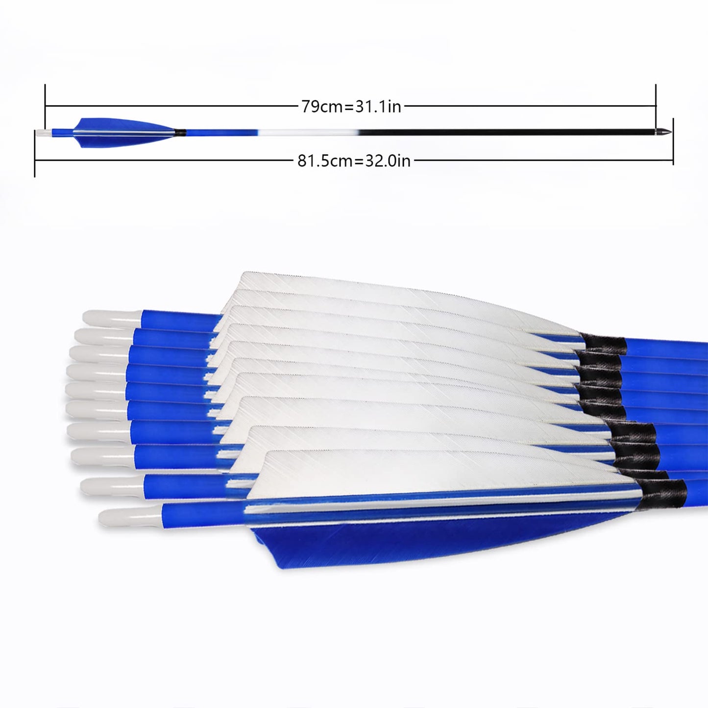 ARCHERY SHARLY 31Inch Carbon Hunting Arrow for Compound & Recurve Bow, Turkey Feather Fletching Targeting Practice Arrows with Removable Tips Blue White (Pack of 6)