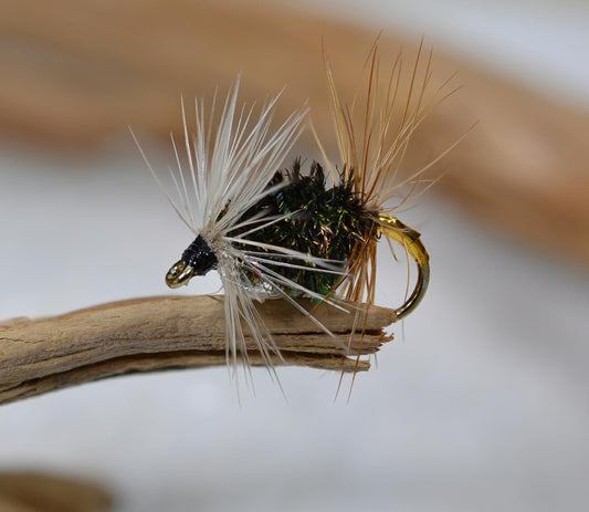 1 Doz - Renegade Wet Fly - Fishing Flies (Hook #12)