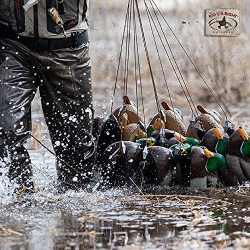 Rig'Em Right Waterfowl Pre-Rigged Decoy Anchors 30 Inch with 4-Ounce Weights
