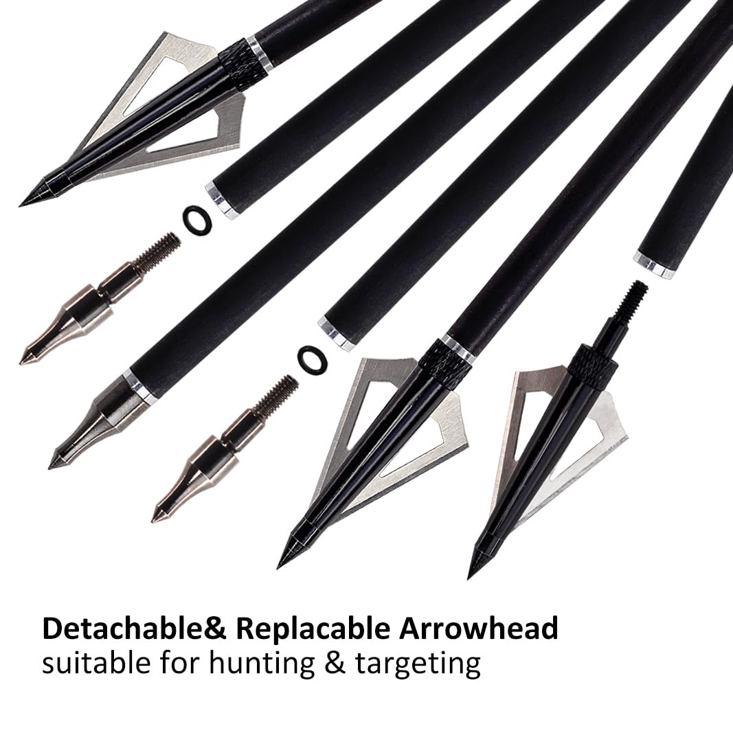 Luoyer 12Pcs Archery Hunting Arrows for Compound Bow Recurve Bow with Removable Tips Adjustable Nocks for Adults Hunting Targeting 30inch (Black Vanes)