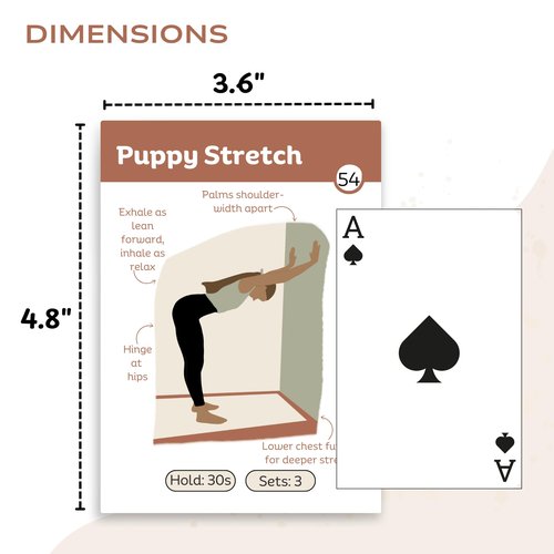 Wall Pilates Workout Cards for Women – 76 Illustrated Pilates Exercise Cards for Home Fitness | Daily Low-Impact Workouts | 67 Wall Pilates Moves + 8 Routines + 1 Guide | No Equipment Needed