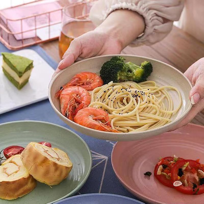 9 Inch Unbreakable Wheat Straw Plates - Reusable Dishwasher Safe Plate Set (Variation: Plate-9in)