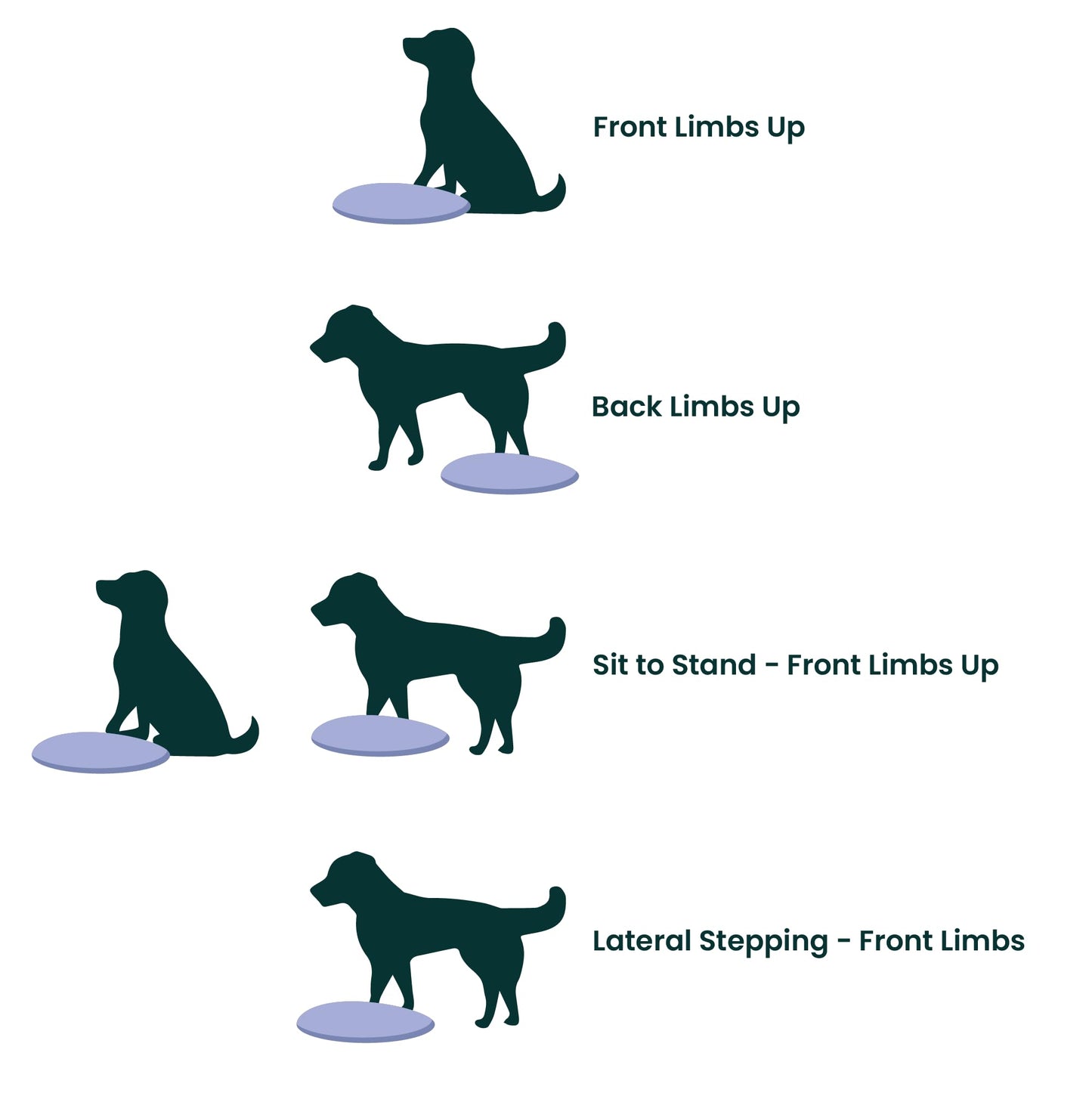 FitPAWS® Dog Balance Disc – 22”, Blue | Dog Exercise Equipment | Workout Tool for Strength, Core, Stability & Rehabilitation