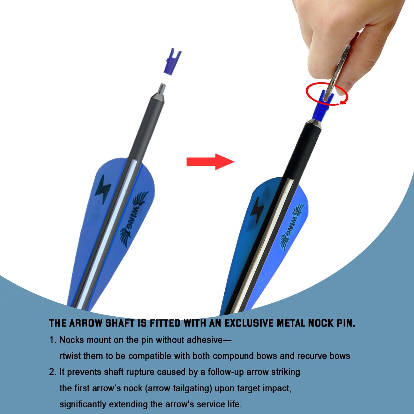 31inch Carbon Arrow Archery Targeting Practice Hunting Arrows for Compound & Recurve Bow with Removable Tips(Pack of 12) (Blue White)