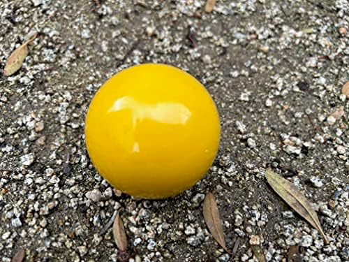 Pallino 60mm - Premium Tournament-Grade Bocce Pallino for 100/107/110+mm Balls