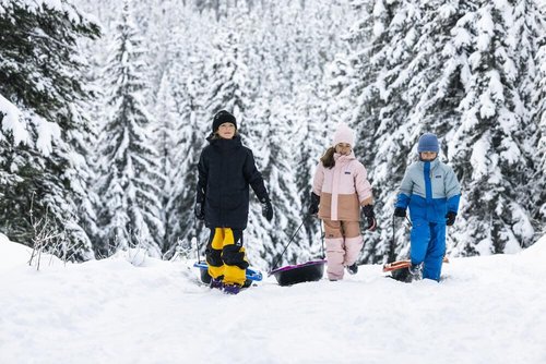 Pelican Nomad 40 Sled - 4 Season Sled - Any Outdoors Activities - Carry Up to 90 lb - Night Wave