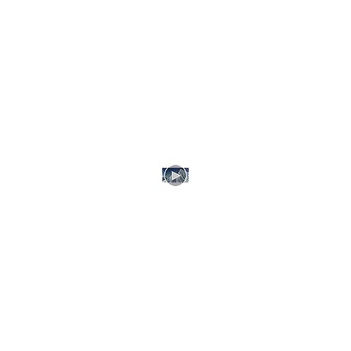 SMITH Rally Goggles with Carbonic-x Lens ? Performance Snowsports Goggles for Skiing & Snowboarding ? For Men & Women