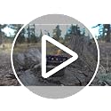 Ultralight Titanium Alcohol Camping Stove for Backpacking and Outdoor Cooking