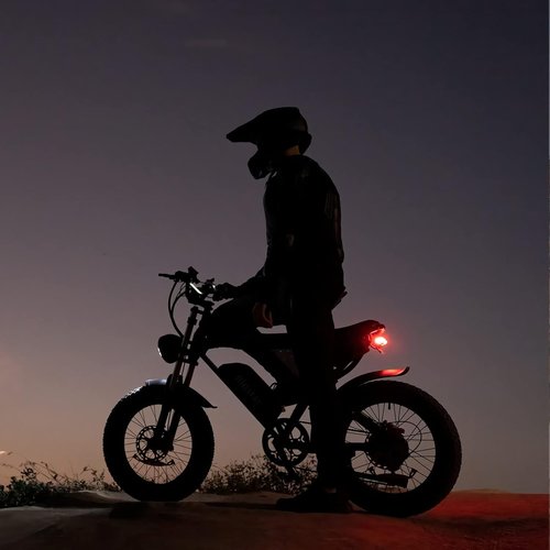 Ridstar Electric Bike for Adults, 1000/2000W, 25/30/37MPH,48V-52V, 20AH,40AH Battery, Max 50-180 Miles Electric Motorcycle, 20" Fat Tire Dirt Bike, Shamano 7-Speed E-Bike
